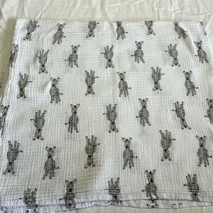 Aden by Aden & Anais swaddle blanket
